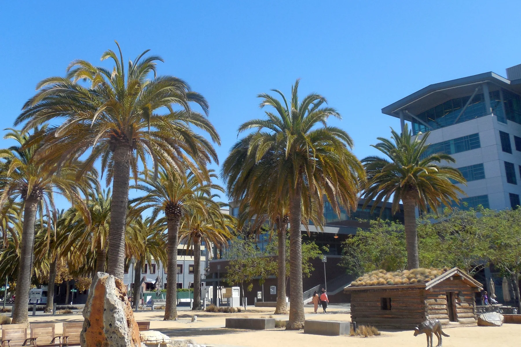Palm trees, public space and Jack London’s cabin at Jack London Square